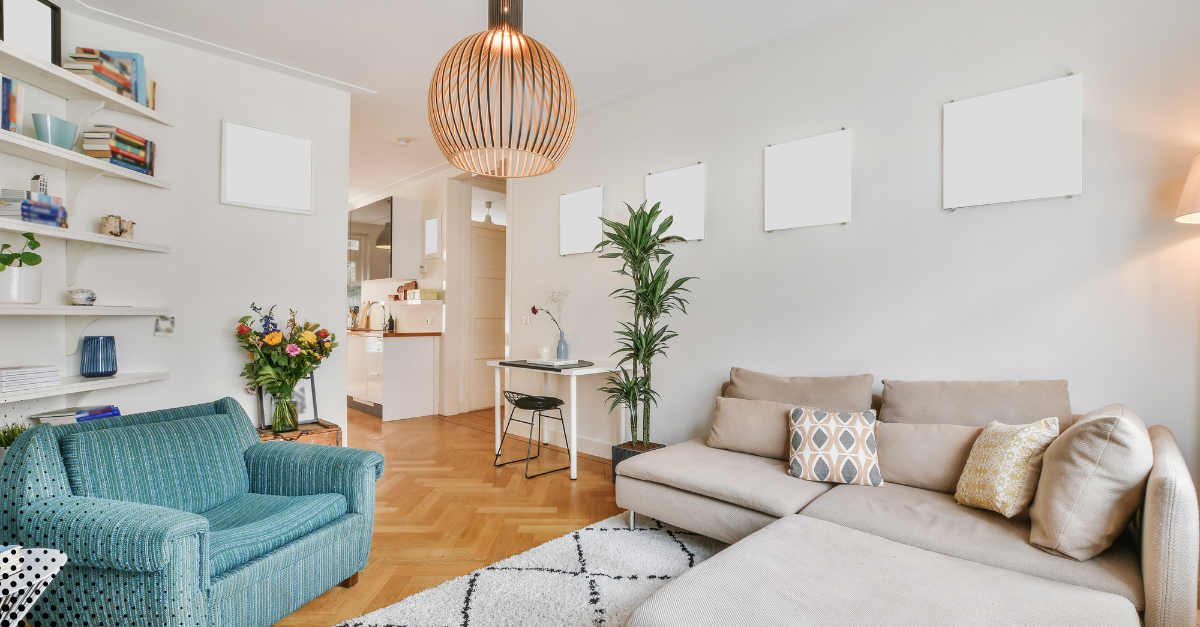 Bright and modern living room with cozy seating and decorative plants.