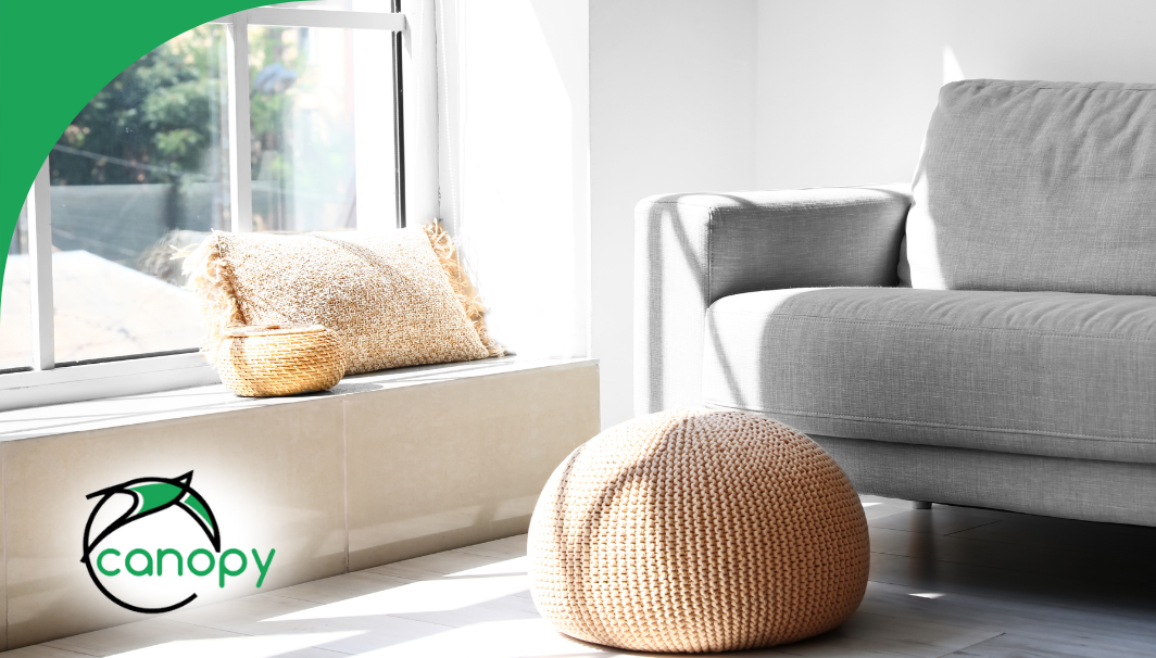 Bright living room with natural light and cozy decor.