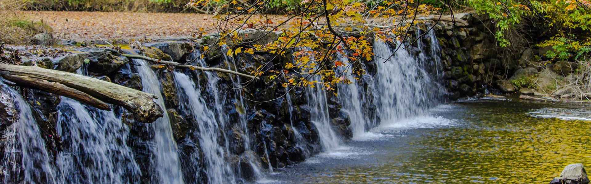 Ridley Creek State Park Media PA, Canopy Building Services