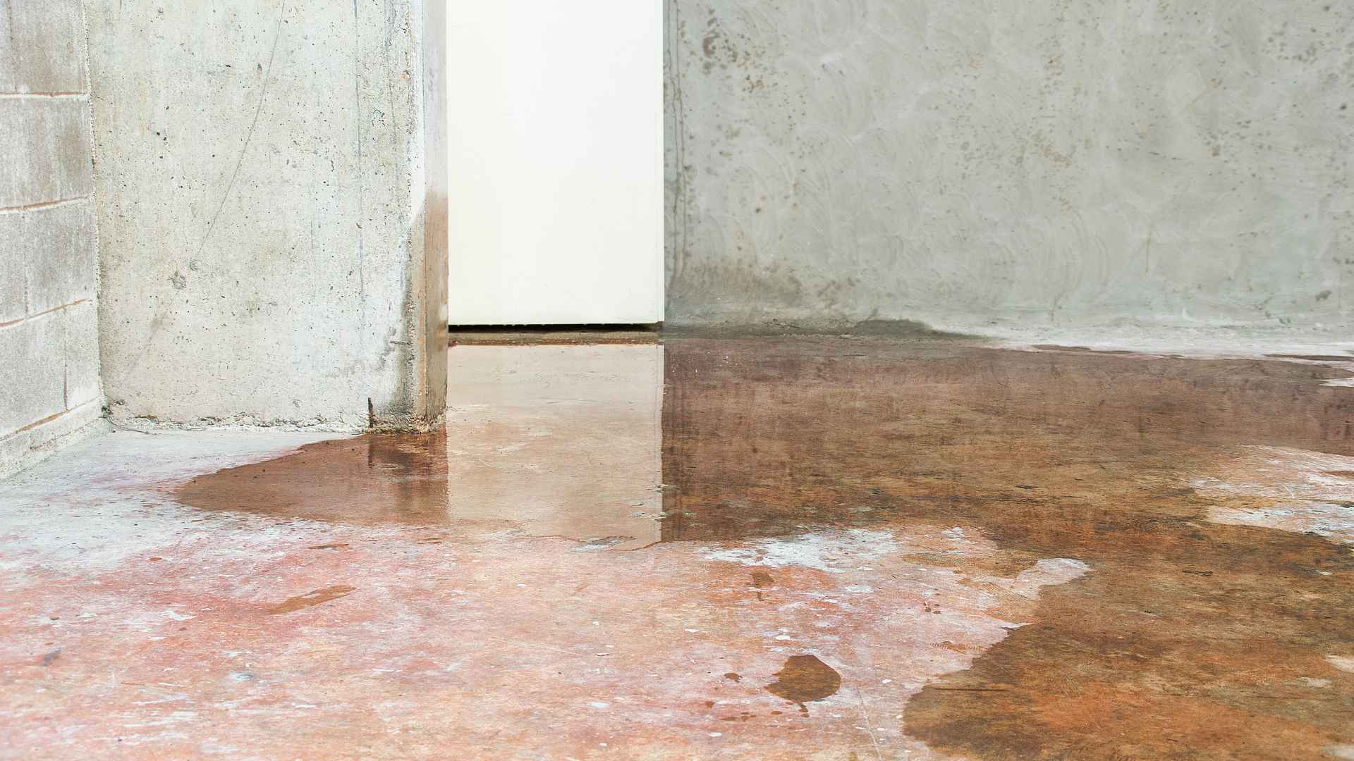 moisture prevention in finished basements Media PA - Canopy Building Services